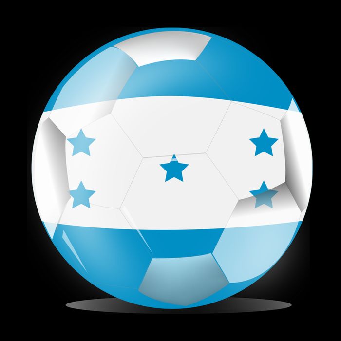 Soccer Ball Country Flag Honduras 16 in Basic Backpack