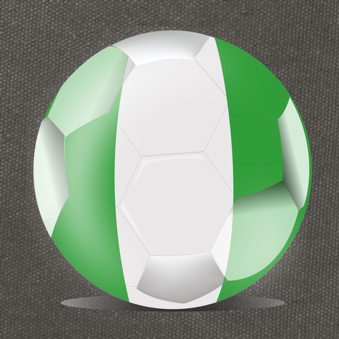 Soccer Ball Country Flag Nigeria Cotton Canvas Backpack