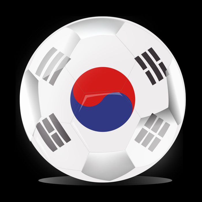 Soccer Ball Country Flag South Korea Impact Tech Backpack