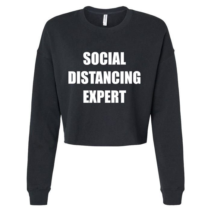 Social Distancing Expert Cropped Pullover Crew