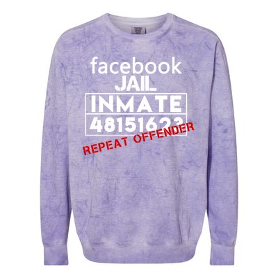 Social Media Jail Inmate Repeat Offender Colorblast Crewneck Sweatshirt