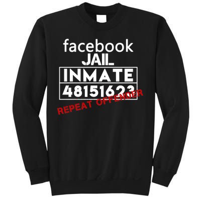 Social Media Jail Inmate Repeat Offender Sweatshirt