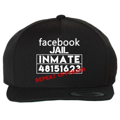 Social Media Jail Inmate Repeat Offender Wool Snapback Cap