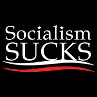 Socialism Sucks Wool Snapback Cap