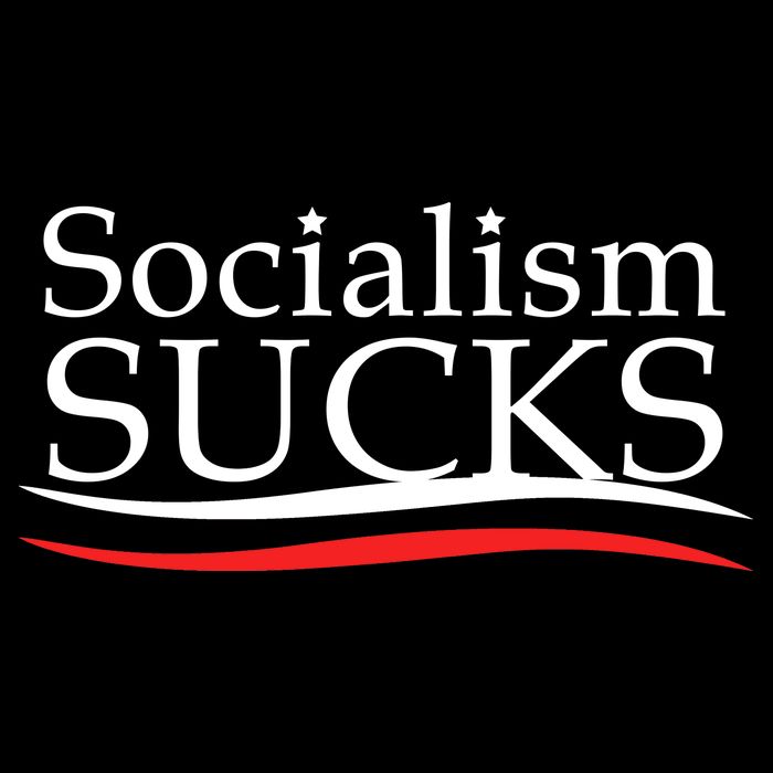 Socialism Sucks Wool Snapback Cap