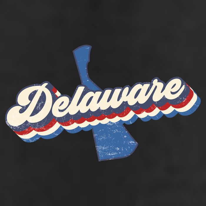 State Of Delaware Retro Logo 7 Panel Mesh Trucker Snapback Hat