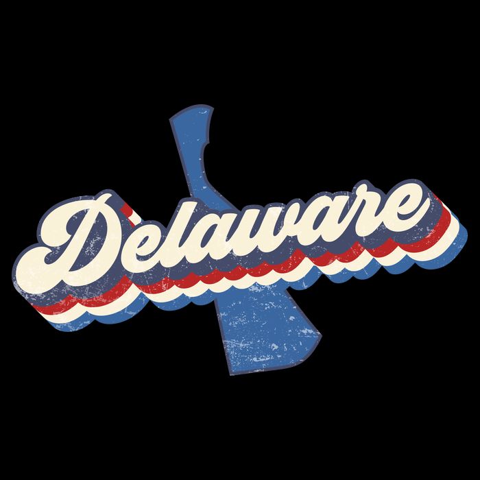 State Of Delaware Retro Logo Drawstring Bag