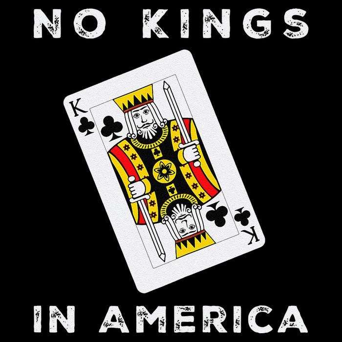 Save Our Democracy No Kings In America Statement Cropped Pullover Crew