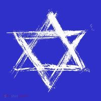 Star of David Pride Israel Jewish Israeli Flag Brush Stroke Premium T-Shirt