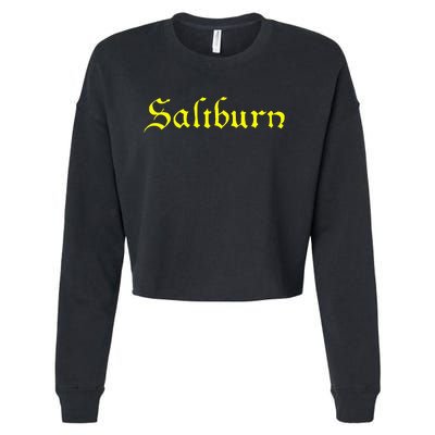 Saltburn Oliver Felix Venetia Cropped Pullover Crew