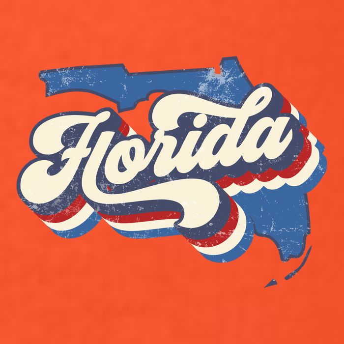 State Of Florida Retro Logo Tie-Dye T-Shirt