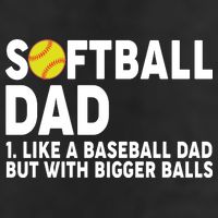 Softball Dad Like A Baseball Dad But With Bigger Balls Tumbler