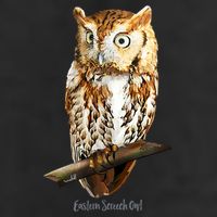 Screech Owl Graphic Birder Wildlife Bird Watching Cool Comfort Performance Bucket Hat