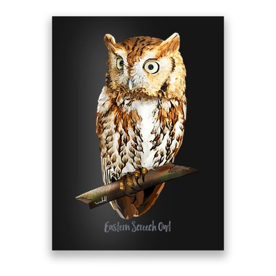 Screech Owl Graphic Birder Wildlife Bird Watching Poster