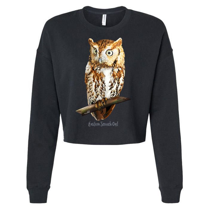 Screech Owl Graphic Birder Wildlife Bird Watching Cropped Pullover Crew