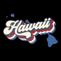 State Of Hawaii Retro Logo Mug