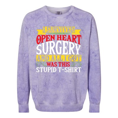 Survived Open Heart Surgery All I Got Stupid Gag Gift Colorblast Crewneck Sweatshirt