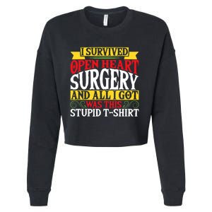 Survived Open Heart Surgery All I Got Stupid Gag Gift Cropped Pullover Crew