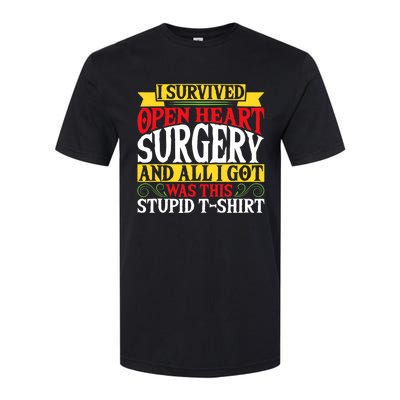 Survived Open Heart Surgery All I Got Stupid Gag Gift Softstyle CVC T-Shirt