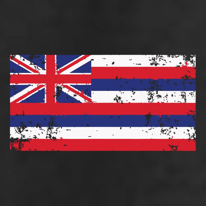 State Of Hawaii Flag Hawaiian Flag Island Hawaii Love 7 Panel Mesh Trucker Snapback Hat