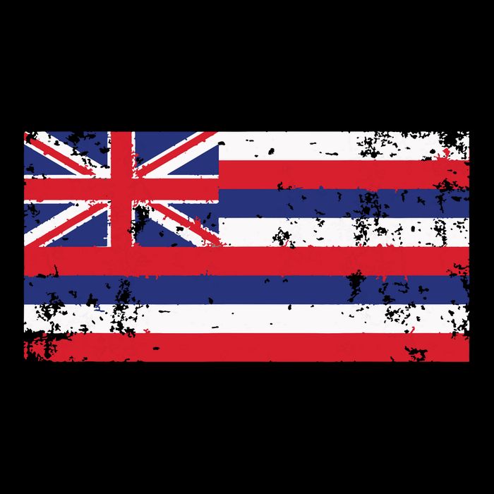 State Of Hawaii Flag Hawaiian Flag Island Hawaii Love Premium T-Shirt