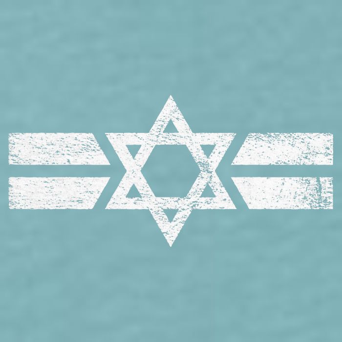 State Of Israel National Flag Of Zion Star Of David Roundel Sueded Cloud Jersey T-Shirt