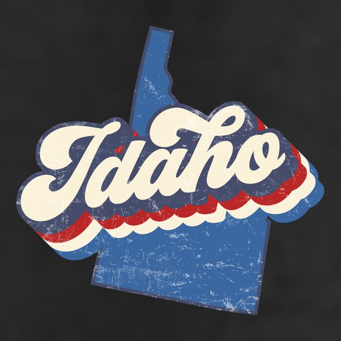 State Of Idaho Retro Logo Adult Drive Performance Visor