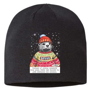 Steve Otter Instead Of Giving Presents This Year Sustainable Beanie