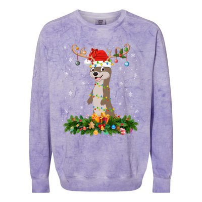 Sea Otter Lover Reindeer Santa Hat Sea Otter Christmas Cool Gift Colorblast Crewneck Sweatshirt