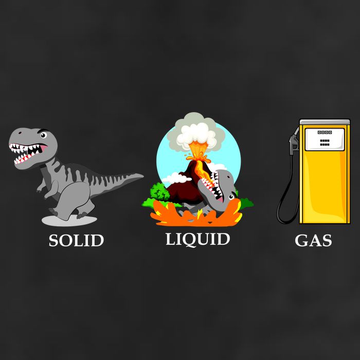 Solid Liquid Gas Dinosaur Garment-Dyed Fleece Hoodie