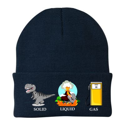 Solid Liquid Gas Dinosaur Beanie