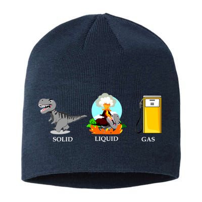 Solid Liquid Gas Dinosaur Sustainable Beanie