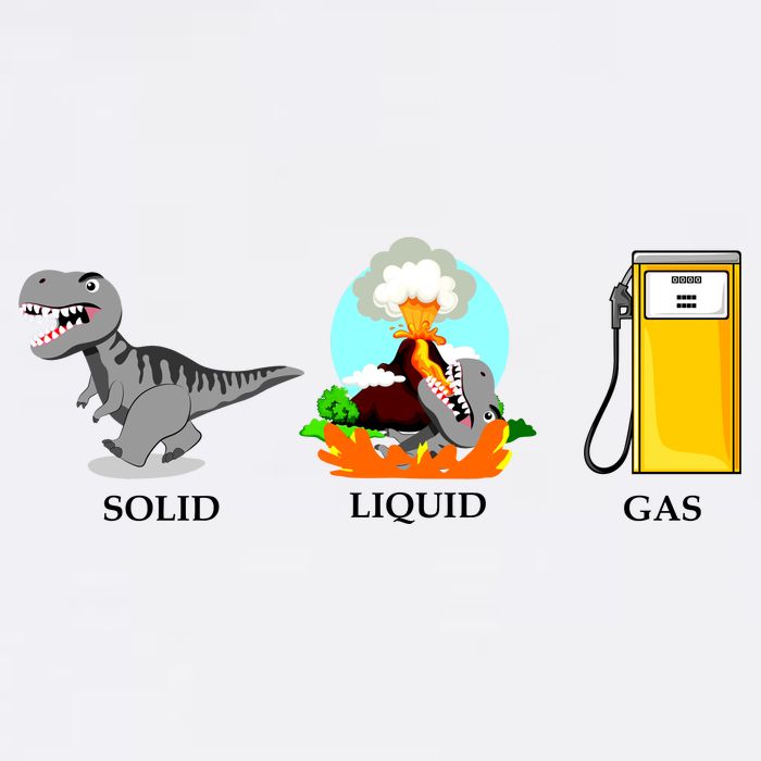 Solid Liquid Gas Dinosaur Garment-Dyed Sweatshirt