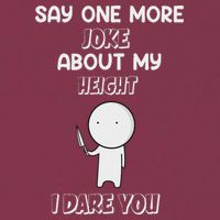 Say One More Joke About My Height I Dare You 16oz Travel Tumbler