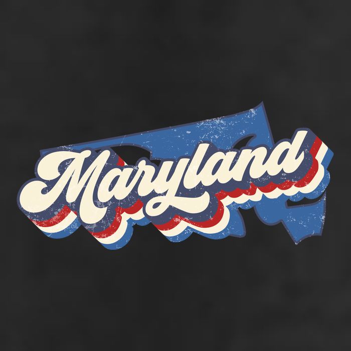 State Of Maryland Retro Logo Adult Drive Performance Visor