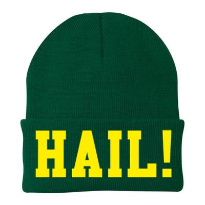 State of Michigan Hail! U M Ann Arbor MI AA Knit Cap Winter Beanie