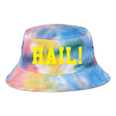 State of Michigan Hail! U M Ann Arbor MI AA Tie Dye Newport Bucket Hat