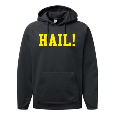 State of Michigan Hail! U M Ann Arbor MI AA Performance Fleece Hoodie