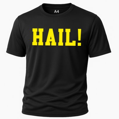 State of Michigan Hail! U M Ann Arbor MI AA Performance Shirt