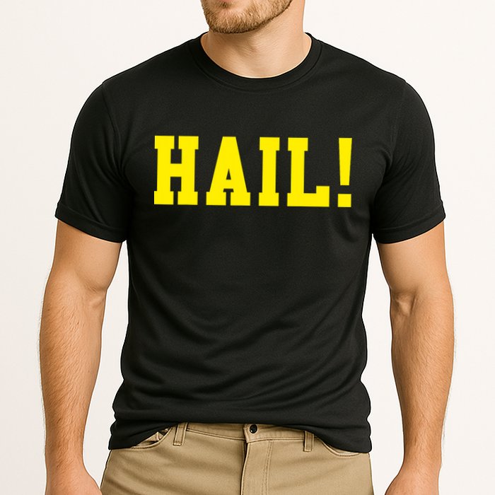State of Michigan Hail! U M Ann Arbor MI AA Cooling Performance Crew T-Shirt