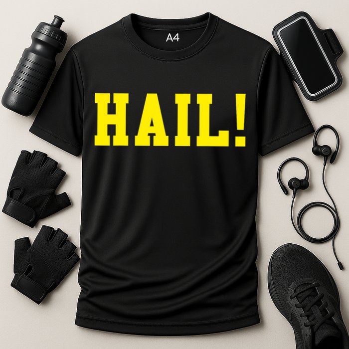 State of Michigan Hail! U M Ann Arbor MI AA Cooling Performance Crew T-Shirt