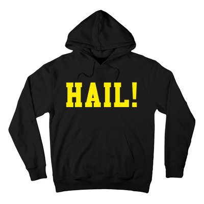 State of Michigan Hail! U M Ann Arbor MI AA Hoodie