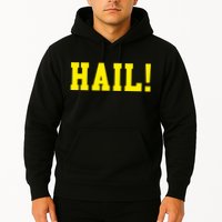 State of Michigan Hail! U M Ann Arbor MI AA Hoodie