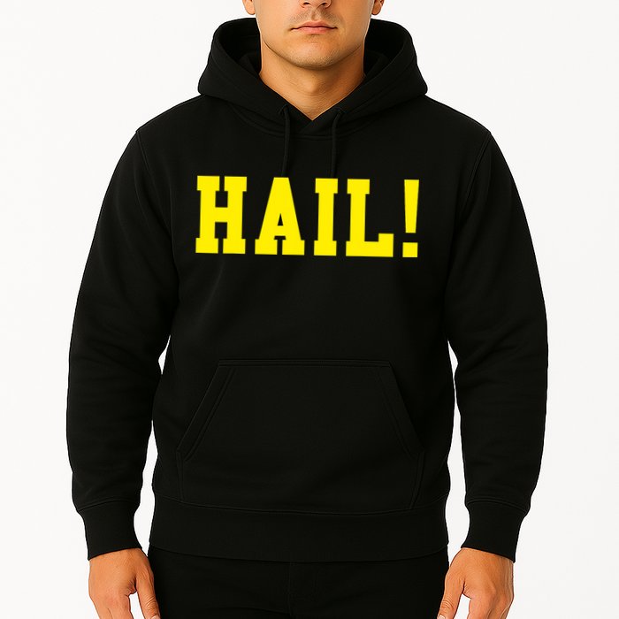 State of Michigan Hail! U M Ann Arbor MI AA Hoodie