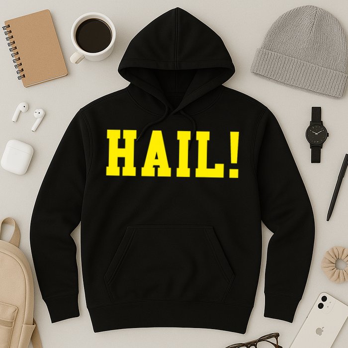 State of Michigan Hail! U M Ann Arbor MI AA Hoodie