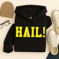 State of Michigan Hail! U M Ann Arbor MI AA Hoodie