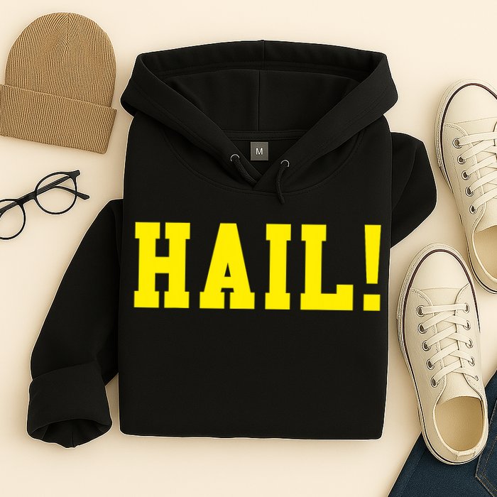 State of Michigan Hail! U M Ann Arbor MI AA Hoodie
