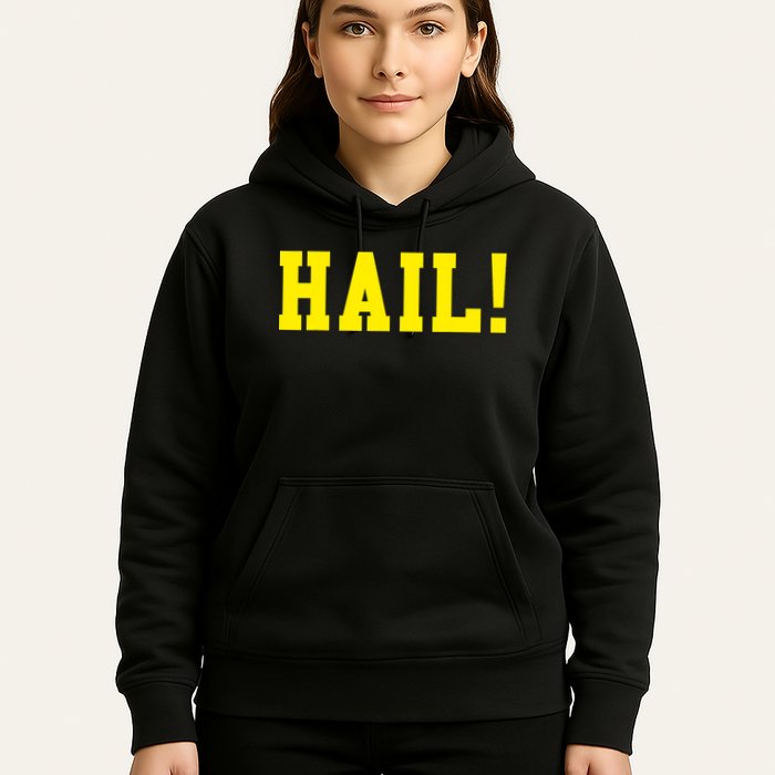 State of Michigan Hail! U M Ann Arbor MI AA Hoodie