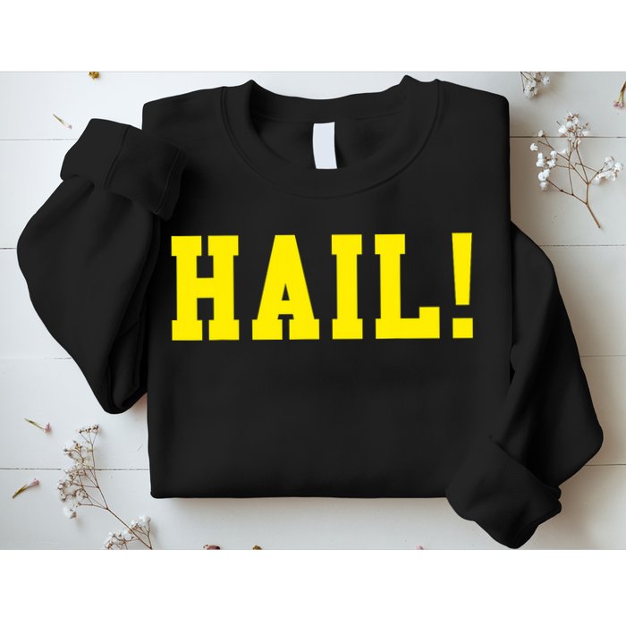 State of Michigan Hail! U M Ann Arbor MI AA Sweatshirt