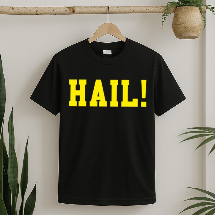 State of Michigan Hail! U M Ann Arbor MI AA T-Shirt